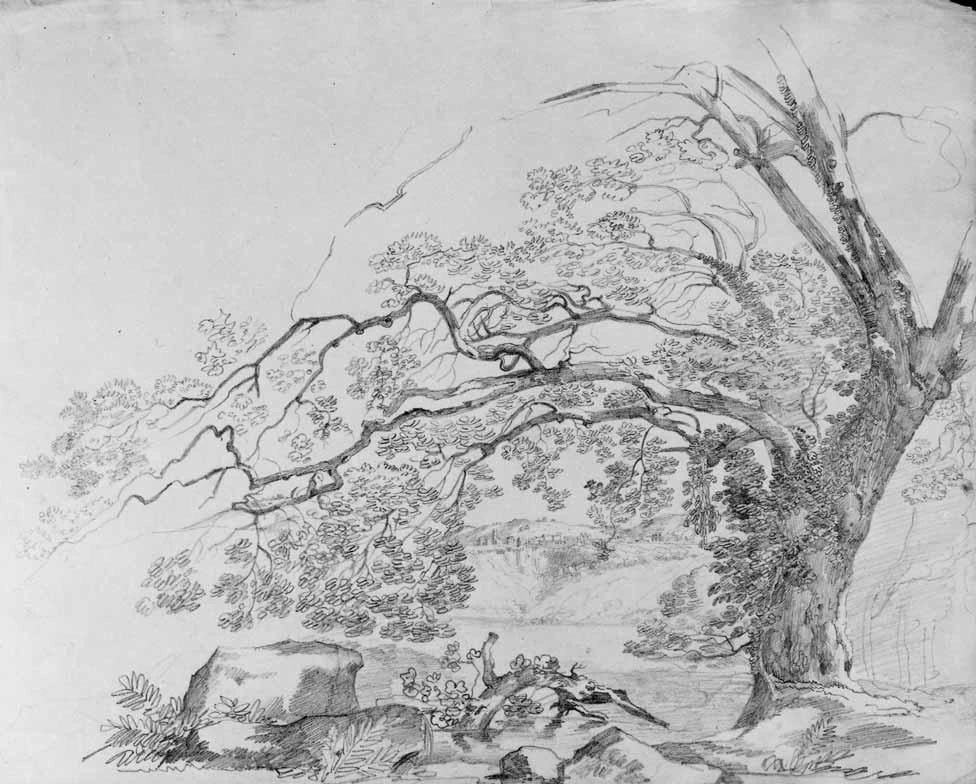 Luigi Basiletti-88-Albero